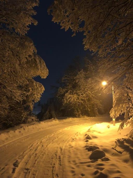 Mavrovo Residence, 5 Min Walk To Ski Area Exterior foto